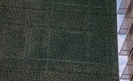_MG_0421-2